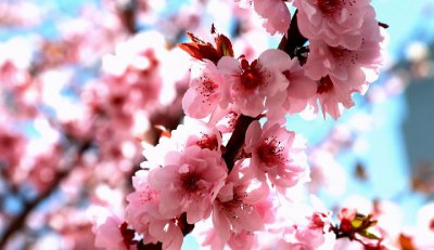 怎么撩都撩不动的女生叫什么 撩不动的女生俗称什么