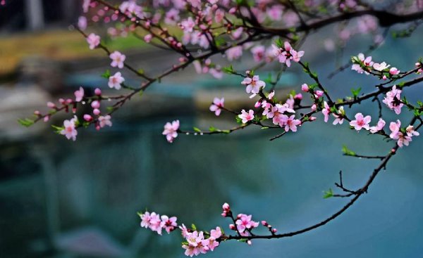 怎么撩都撩不动的女生叫什么