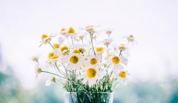 怎么跟男生表白最容易打动他