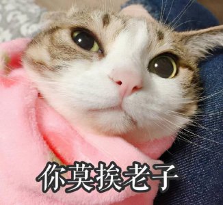 男生表白被拒绝后还会喜欢吗 男人被喜欢的女人拒绝后表现