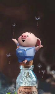 老实人一旦开窍就像开挂一样 真正的高手都是老实人