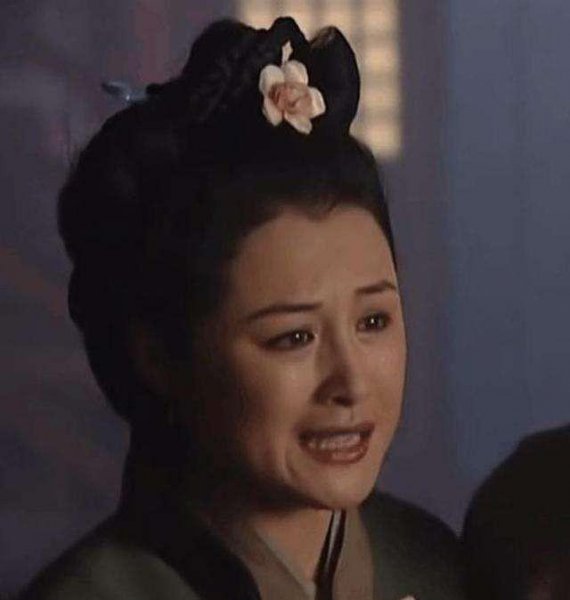 鲁提辖拳打镇关西概括