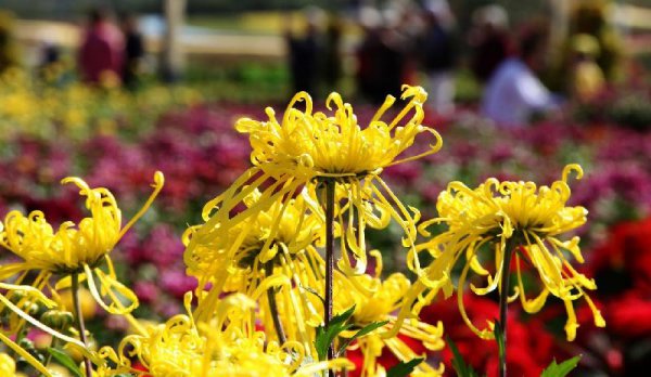 我国的传统节日有哪些