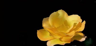 女生下定决心分手还能挽回吗 女人执意分手有机会挽留吗