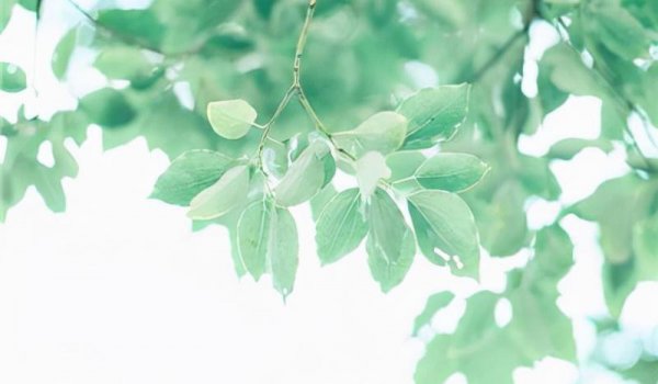 男人想要你被你拒绝后心情