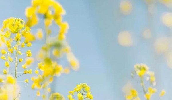 男人想要你被你拒绝后心情