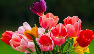 抓住一个男人的心技巧 高情商拴住男人的心的绝招