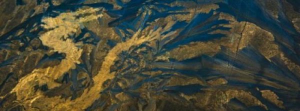 刘伯温斩龙脉害了我们