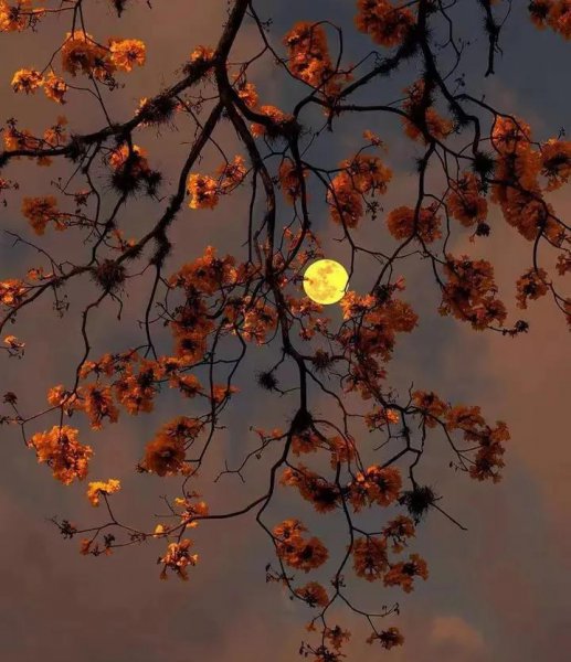 已婚男女聊天多久出轨