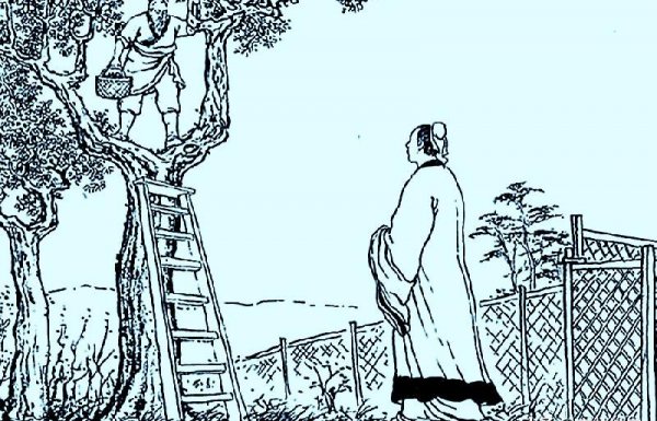 三国演义庞统是谁的部下