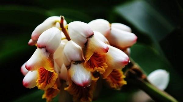 古代女子年龄称谓大全