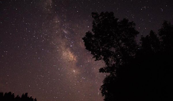 男人多久睡腻一个情人