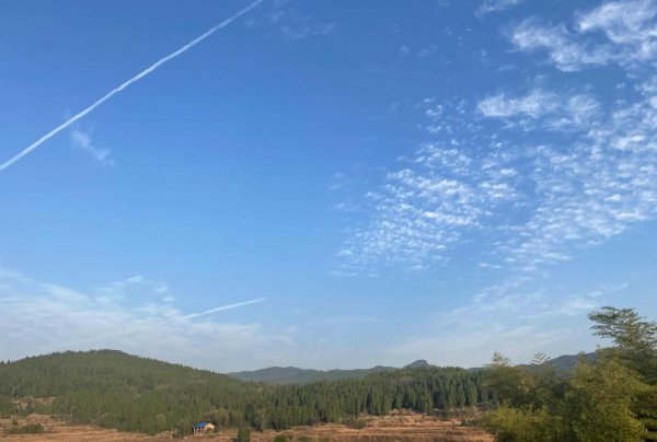 活得好累好压抑怎么办