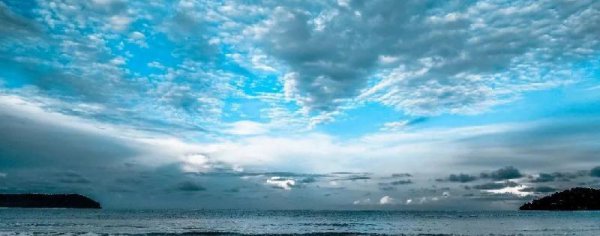 呆若木鸡的意思是什么