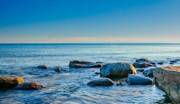 呆若木鸡的意思是什么