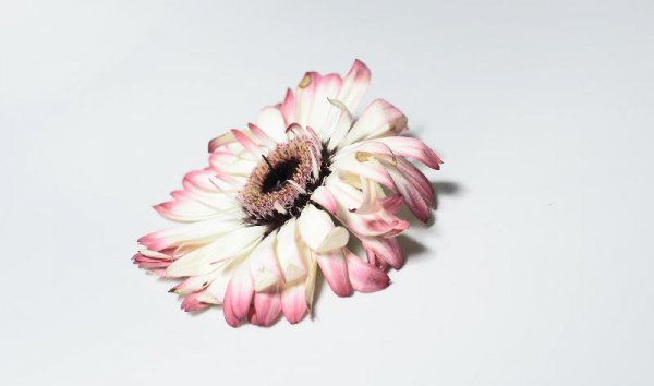 对付男人冷落你方法10个