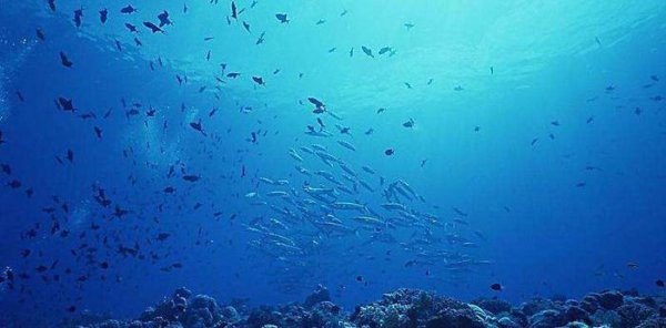 世界上最大的海洋