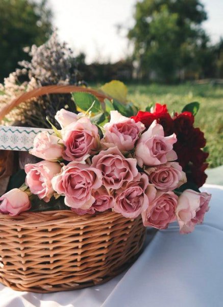 朱佑樘和张皇后的爱情故事