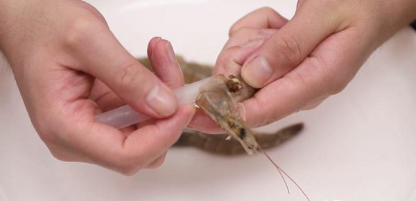 去虾线的最快方法