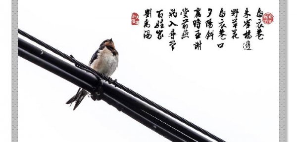 中国古代十大名门望族