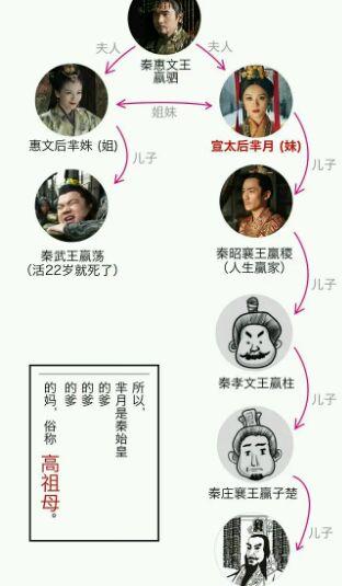 芈月和嬴政有什么关系