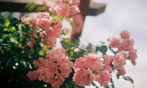 男人暗恋你吃闷醋的表现