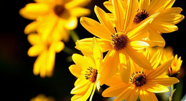 男人暗恋你吃闷醋的表现