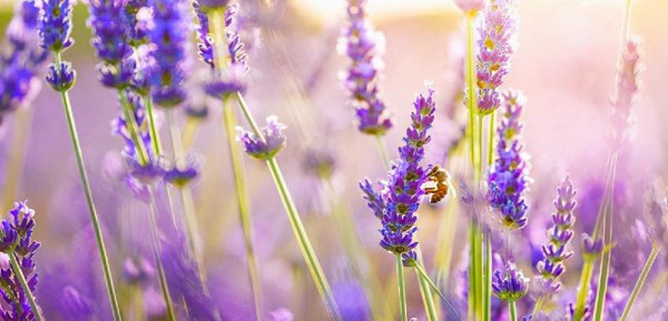 男人暗恋你吃闷醋的表现