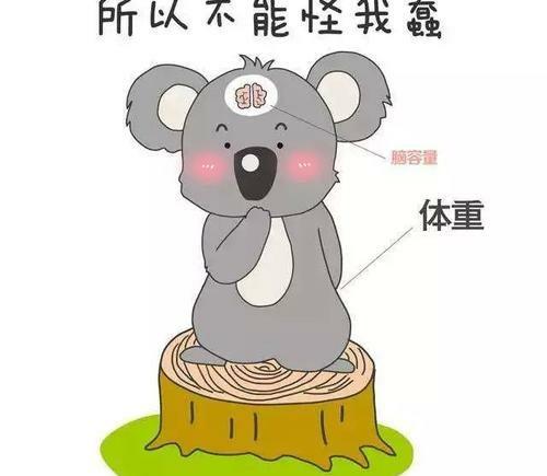 考拉是哪个国家的国宝