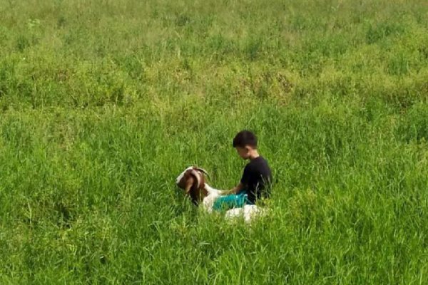 怎样教育一个屡教不改的孩子