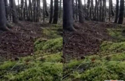 震惊全球十大灵异事件 中国十大诡异未解之谜