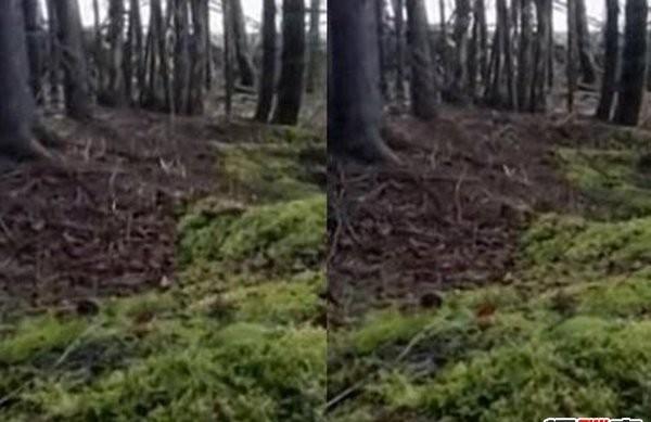 震惊全球十大灵异事件