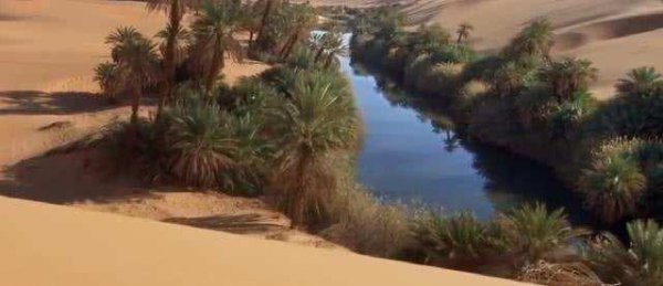 燕子什么时候飞回南方