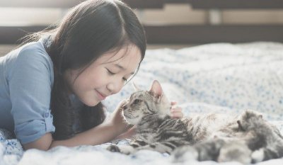 最忠诚的猫前十名 哪种猫最忠心听话颜值又高