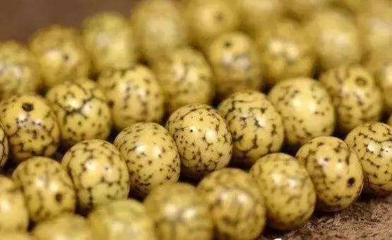 星月菩提怎么盘最好