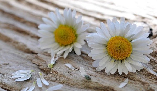 发现老公有外遇怎么处理办法