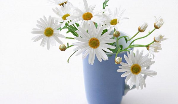 发现老公有外遇怎么处理办法