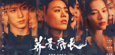 荞麦疯长讲的是什么故事 马思纯的荞麦疯长故事梗概