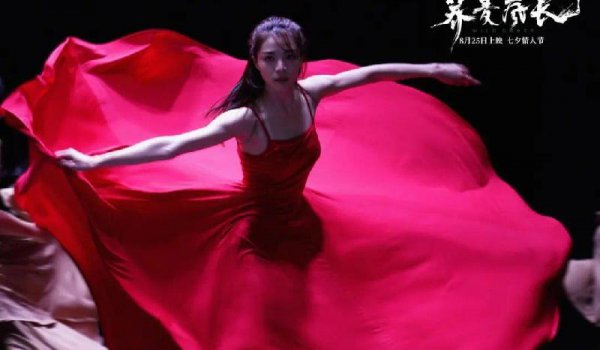 荞麦疯长讲的是什么故事