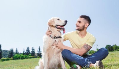 最厉害的小型护卫犬排名 家养最护主的小型猛犬