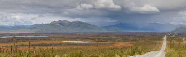 中国种植葡萄始于什么时候