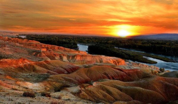 中国种植葡萄始于什么时候