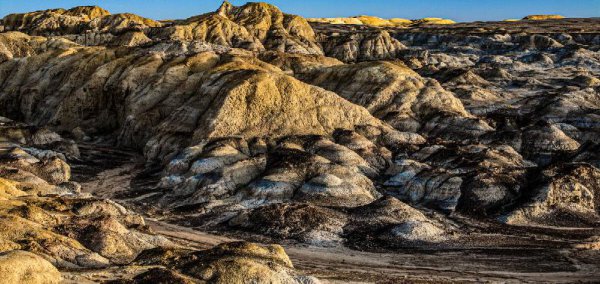 中国种植葡萄始于什么时候
