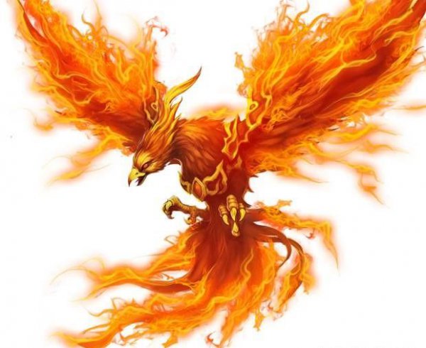 四大灵兽vs四大凶兽