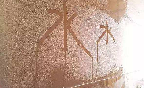 陈皮最佳存放方法