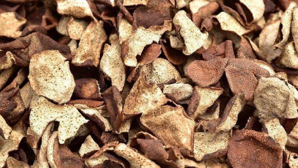 陈皮最佳存放方法