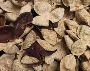 陈皮最佳存放方法