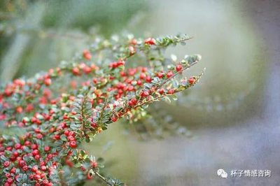 女人分手后不可能复合的表现 什么样的分手无法复合