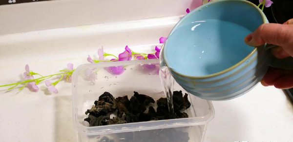 泡木耳最快的方法