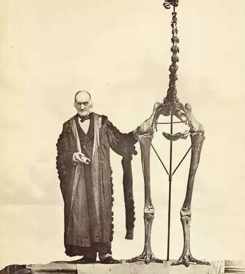 恐龙灭绝的原因有哪些说法